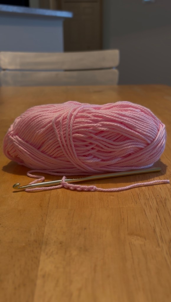 step 1: make a slip knot and 5 chain stitches