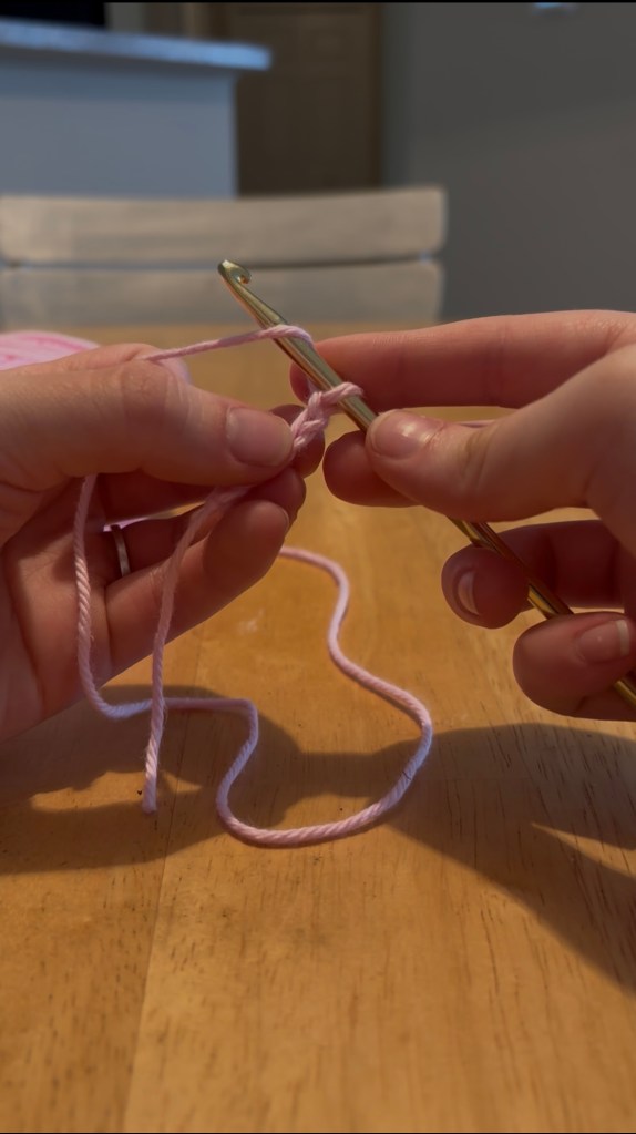 step 2: skip the first chain and insert your hook into the second chain from hook