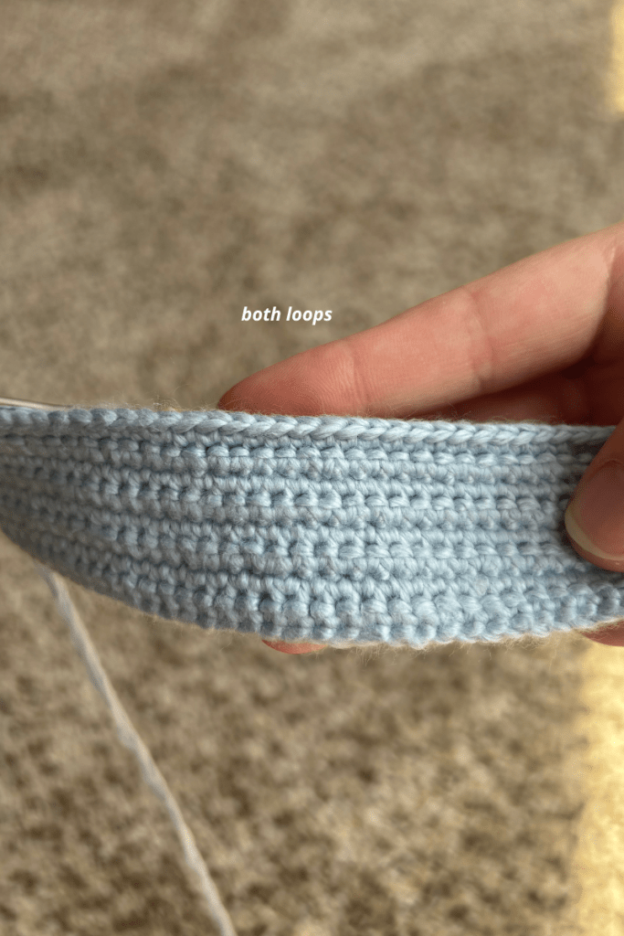 crocheting in both loops