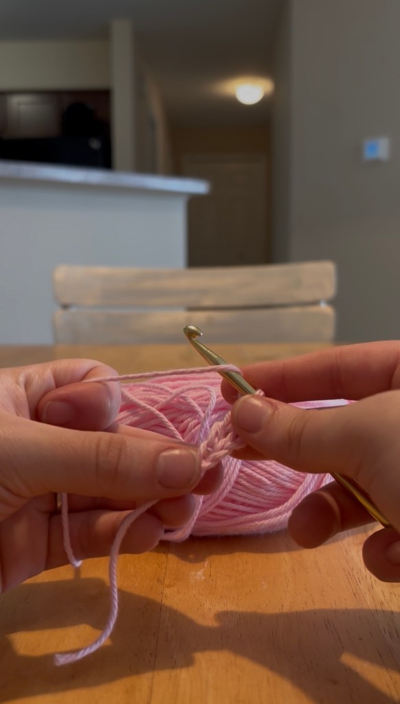 step 15: skip the chain stitch you just worked a triple crochet in