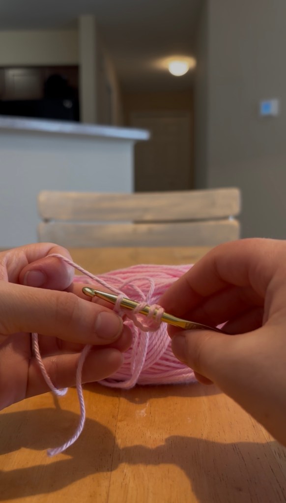 step 17: insert your hook into the next chain stitch