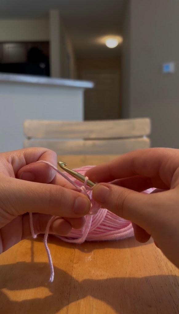 step 21: pull through 2 loops