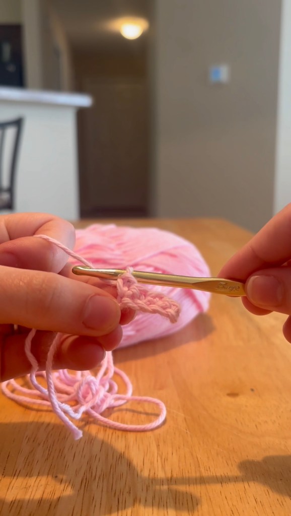 step 4: complete the first row with 4 single crochet stitches